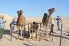 Promotion des systèmes camelins innovants et des filières locales, Tunisie - Sep 2013